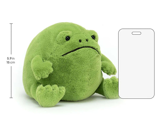 Ricky Rain Frog Plush – Cute Lovable Grump Soft Toy by Jellycat